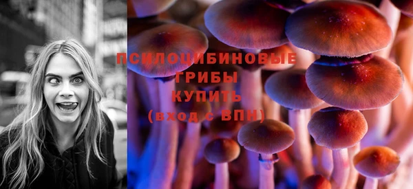 эйфоретик Михайловск