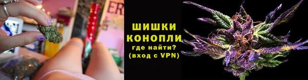 эйфоретик Михайловск