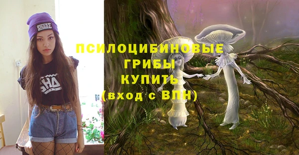 сатива Михайлов