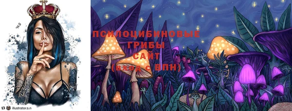 сатива Михайлов