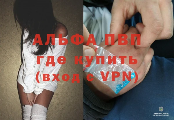 индика Билибино