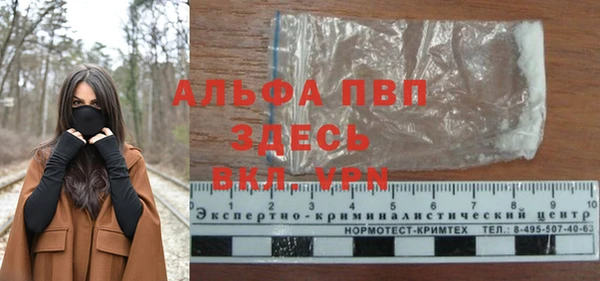 эйфоретик Михайловск
